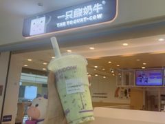 -一只酸奶牛(双流万达广场店)