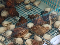 -日丰园海肠水饺·老字号大连海鲜(小平岛总店)