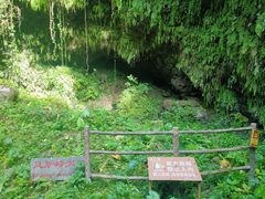 -海口火山口国家地质公园