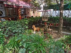 -正宗天津烧麦馆(柳州路店)