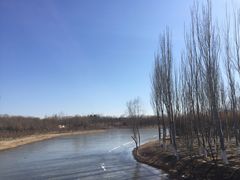 -大兴滨河森林公园