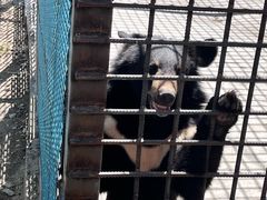 -水上乐园·欢乐世界