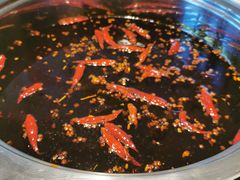 -玉林串串香(九号天地店)
