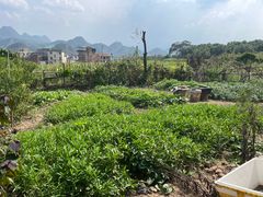 -逢缘柴火农家乐(连南店)