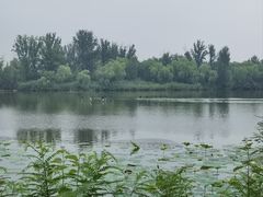 -翠湖国家城市湿地公园