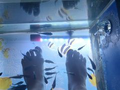 -汤连得温泉馆(宝山店)