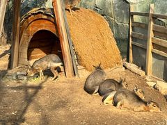 -祥源·阜阳生态乐园