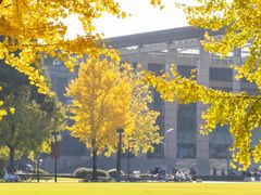 -浙江大学(紫金港校区)