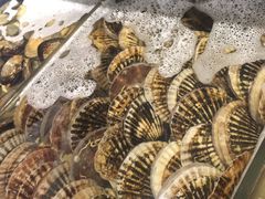 -喝丢一只鞋海鲜烧烤·海肠捞饭(东关街店)