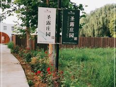 -安德鲁户外烧烤帐篷营地(马泉营店)