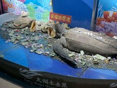 -苏州海洋馆