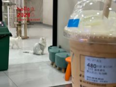 -瑞幸咖啡(西铁营万达广场店)