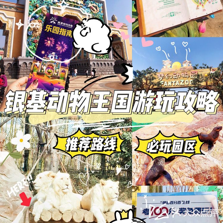 🚗郑州周边游｜银基动物王国游玩攻略[礼花][礼花][礼花]