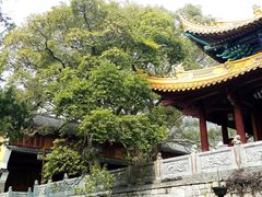 -普陀山风景名胜区-法雨禅寺
