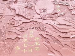 -广州神农草堂中医药博物馆
