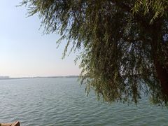 -丁香湖公园