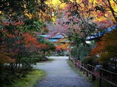 -醍醐寺