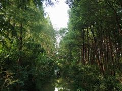 -同里国家湿地公园