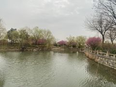 -窑湾古镇