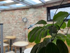 用餐区-VOYAGE COFFEE(北锣鼓巷店)