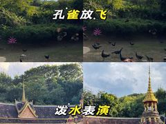 -西双版纳勐泐文化旅游区