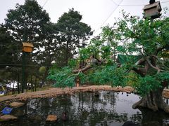 -西霞口神雕山野生动物世界