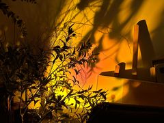 -Catail前苑(前门大街店)