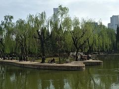 -团结湖公园