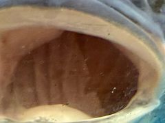 -老村长土菜馆(湖墅南路店)