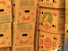 榴莲-鲜力达果品批发直销(无锡保利香槟店)