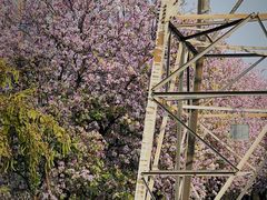 -南丰汇(新港东路店)