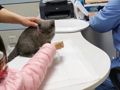 -中农国际动物医院24小时·猫科·骨科·急重症中心