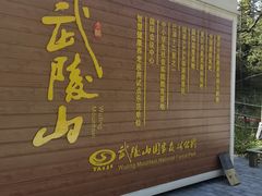 -武陵山森林公园