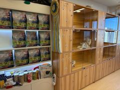 -猫十亿·布偶金渐层·曼基康矮脚猫舍(青年路店)