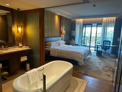 -杭州西溪喜来登度假大酒店