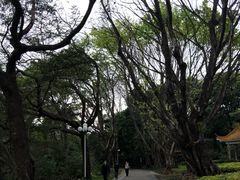 -人民公园(罗湖区)