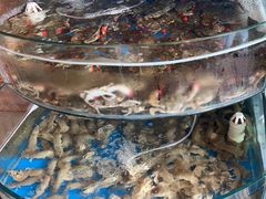 -蓝珊甄选海鲜自助·火锅大排档(近阿那亚店)