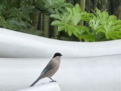 -苏州河梦清园环保主题公园