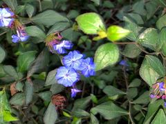 -成都市活水公园