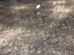 -皇马纯KTV(景田店)