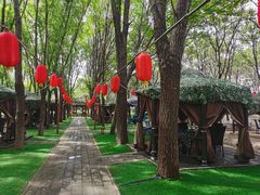 -草根堂农场