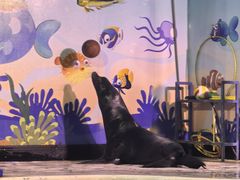 -太平洋海底世界