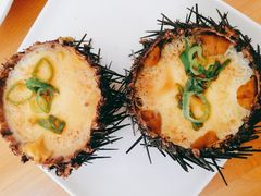 -海胆小馆(东北水饺·春柳店)