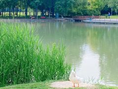-海淀公园