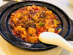 -陈麻婆豆腐总店