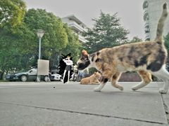 -河海大学(常州校区)