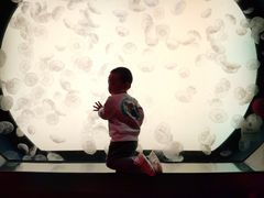 -沈阳海洋探索中心