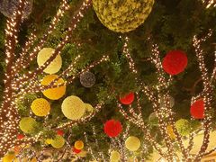 -拉斯维加斯永利酒店