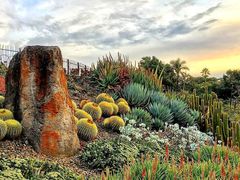 -墨尔本皇家植物园