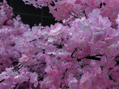 -百佳华佳漾里(坂田店)